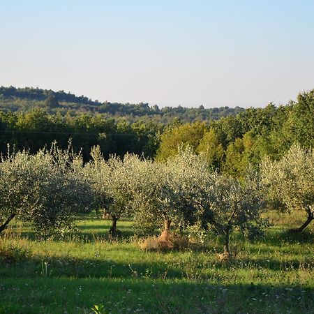 Villa Olivetta - Istrische Villa mit Meerblick nahe Porec Barat  Esterno foto