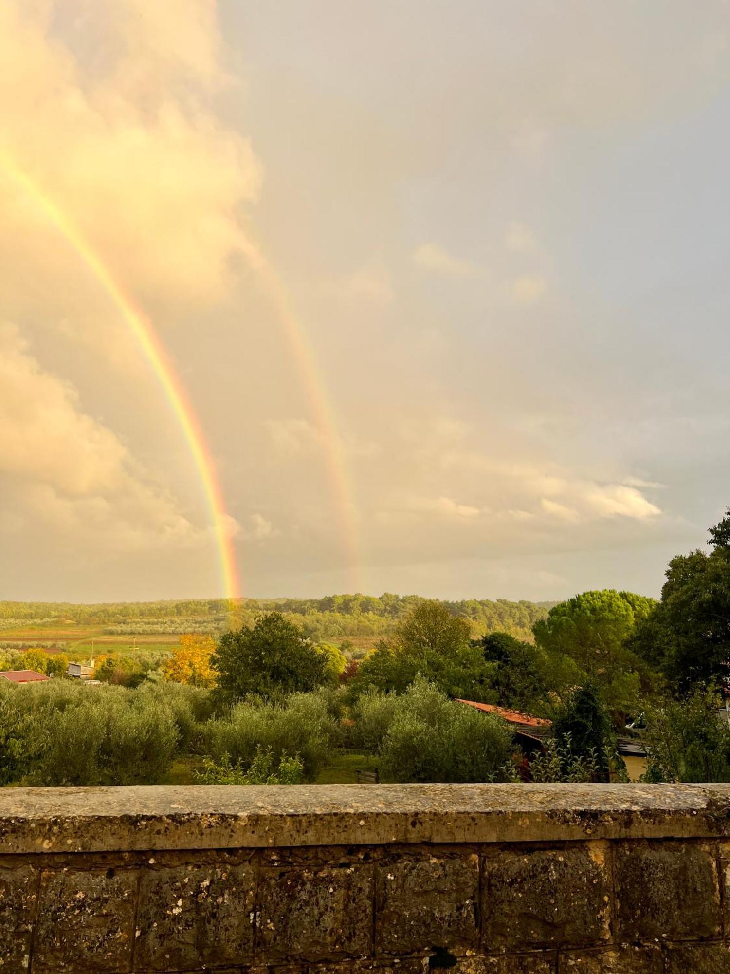Villa Olivetta - Istrische Villa mit Meerblick nahe Porec Barat  Esterno foto