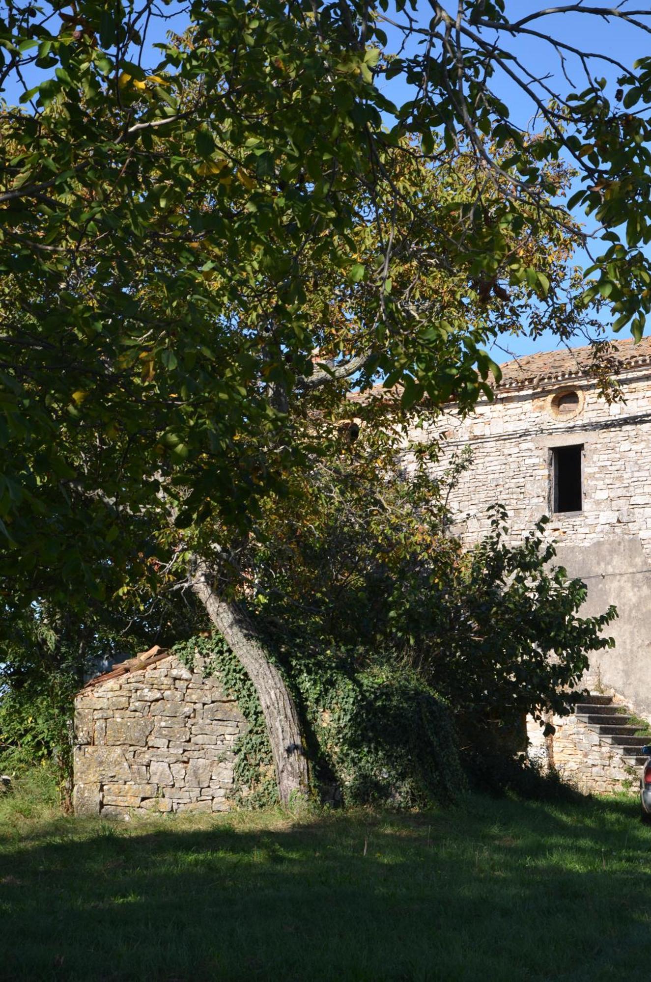 Villa Olivetta - Istrische Villa mit Meerblick nahe Porec Barat  Esterno foto