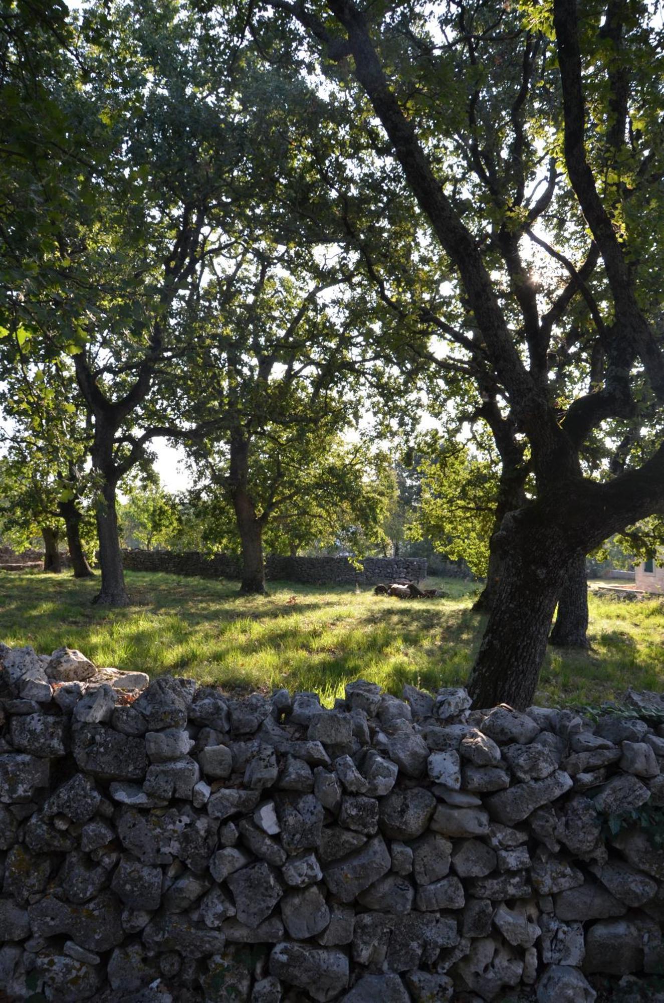 Villa Olivetta - Istrische Villa mit Meerblick nahe Porec Barat  Esterno foto