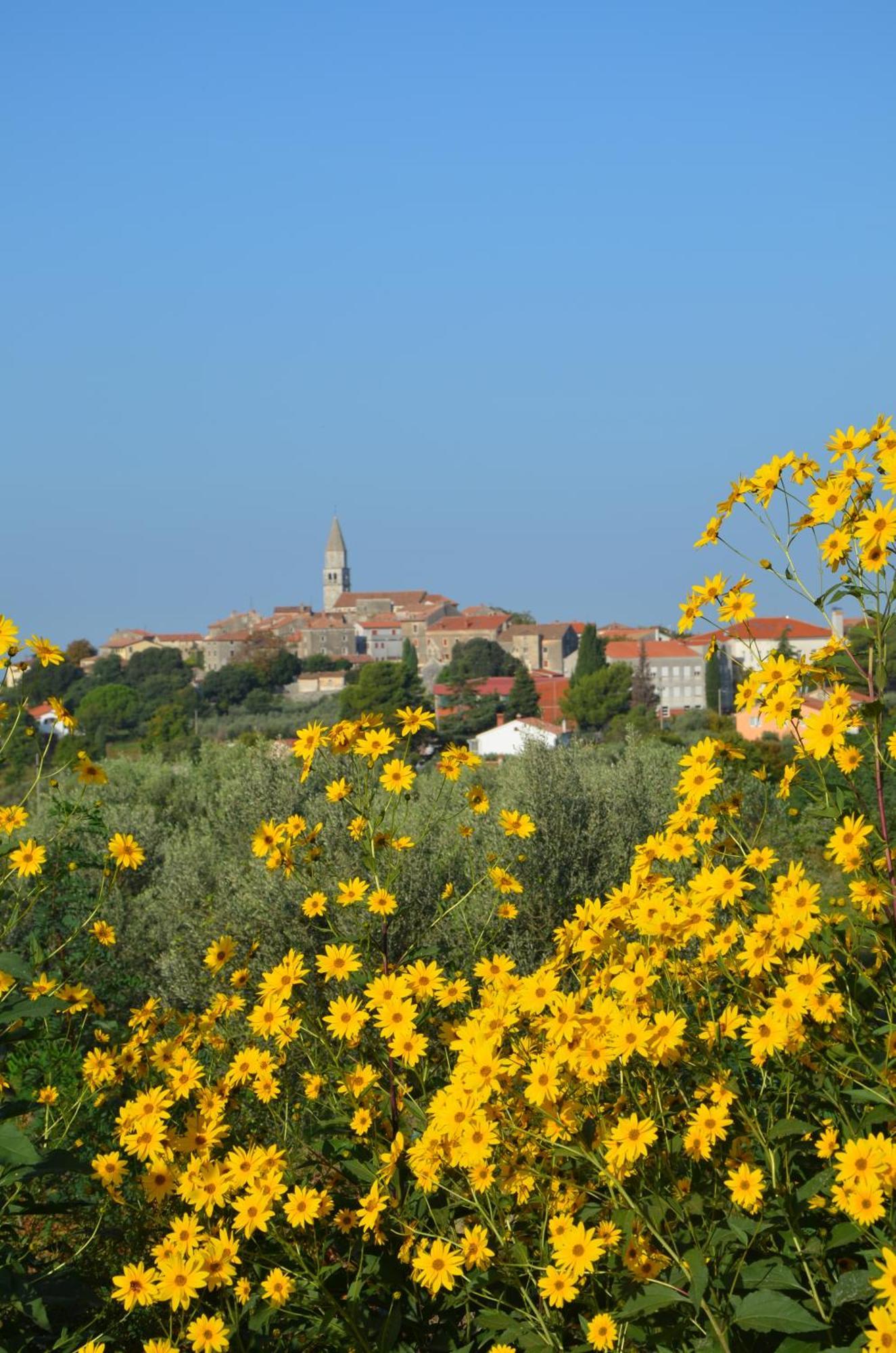 Villa Olivetta - Istrische Villa mit Meerblick nahe Porec Barat  Esterno foto