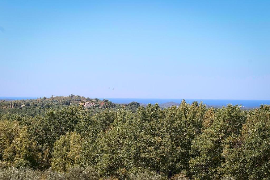 Villa Olivetta - Istrische Villa mit Meerblick nahe Porec Barat  Esterno foto